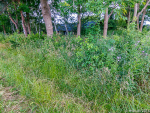 GFUN – Inspektionsrundtur 2014