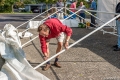 GFUN – Sommerfest 2014