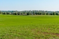 GFUN – Tur til Nivågårds Park